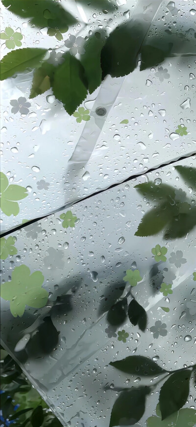 壁纸 图源网络 侵权删