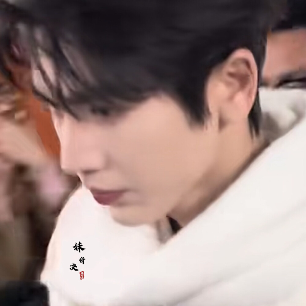 山茶涙在梦醒时分落难成你鼻梁上的淡痣