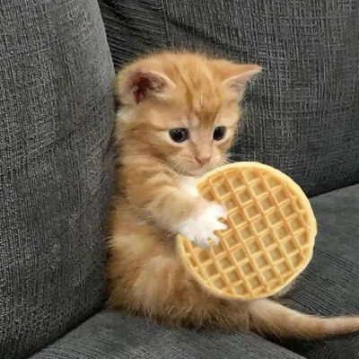 我是不会放弃收集这种图片的