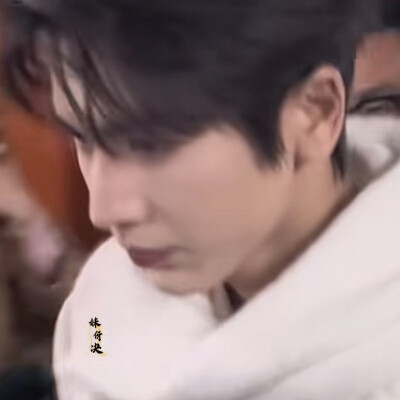 山茶涙在梦醒时分落难成你鼻梁上的淡痣