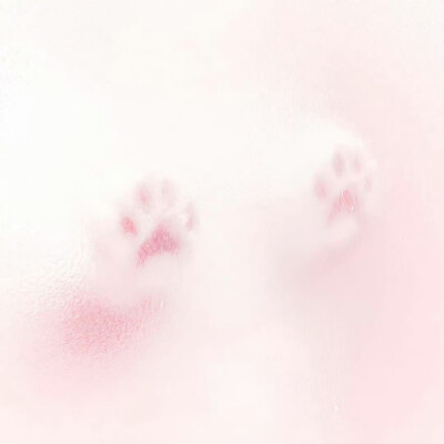 女生头像背景图搭配