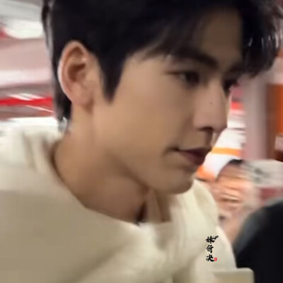 山茶涙在梦醒时分落难成你鼻梁上的淡痣