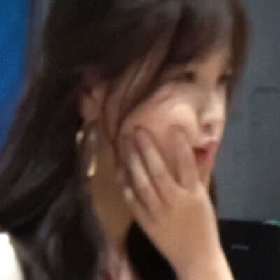 小心！有猪出没！