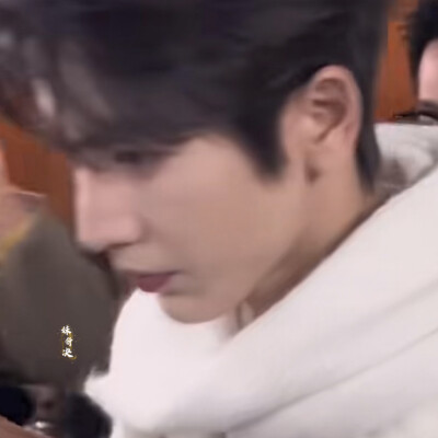 山茶涙在梦醒时分落难成你鼻梁上的淡痣