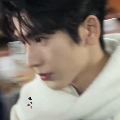 山茶涙在梦醒时分落难成你鼻梁上的淡痣