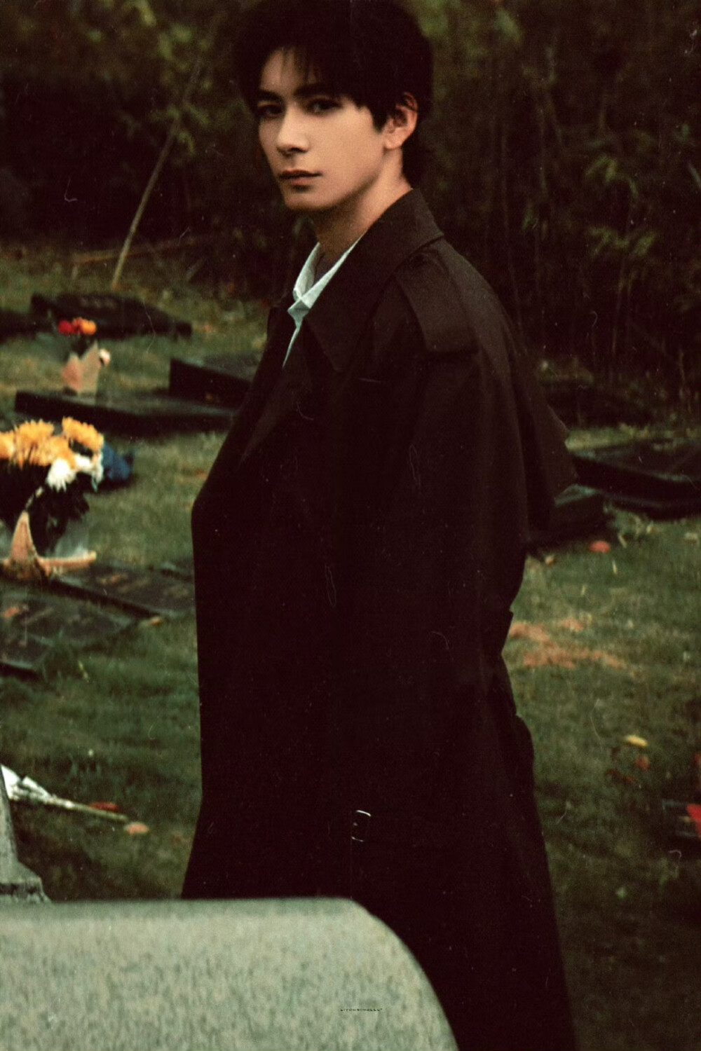 枭起青壤 ​​​