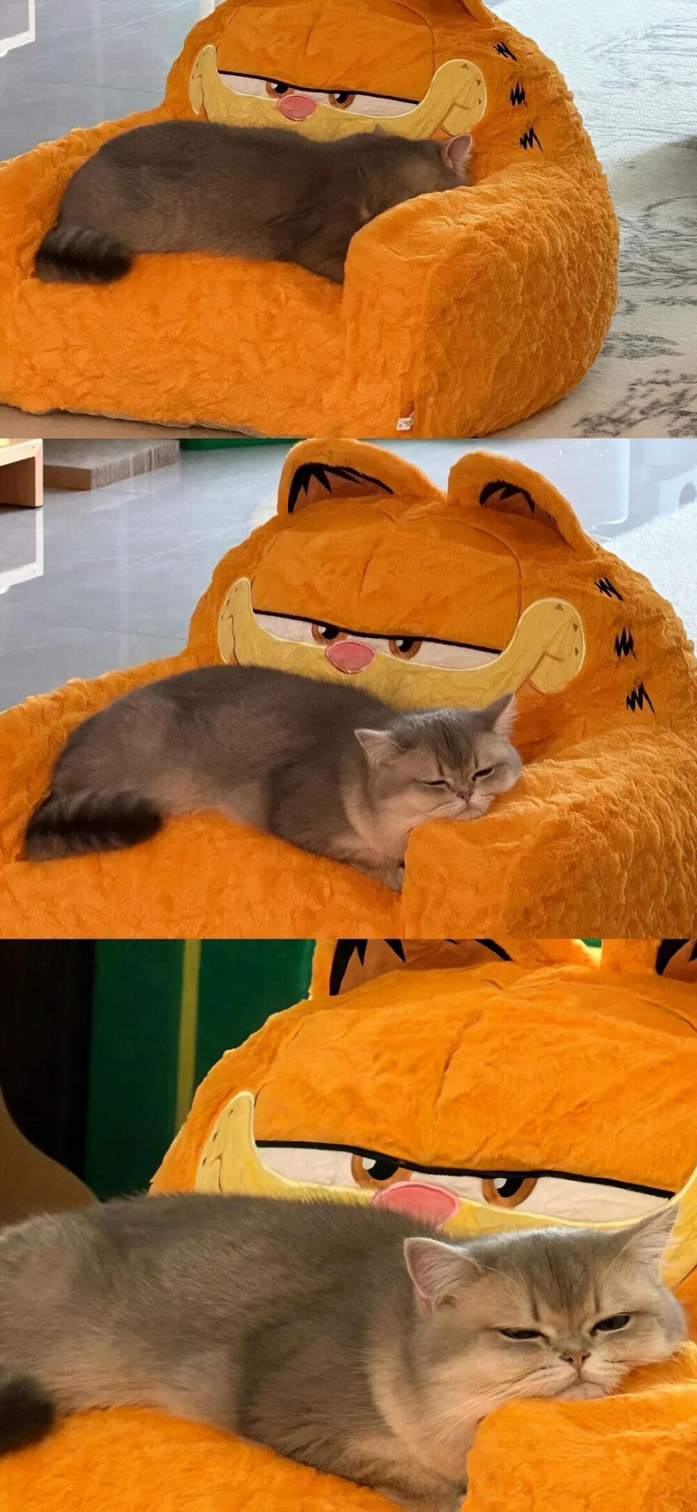 我是不会放弃收集这种图片的