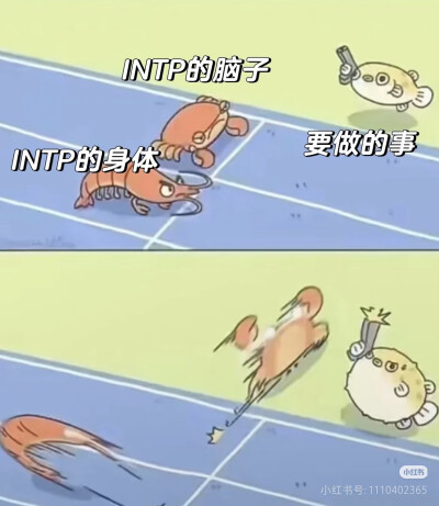 intp梗图