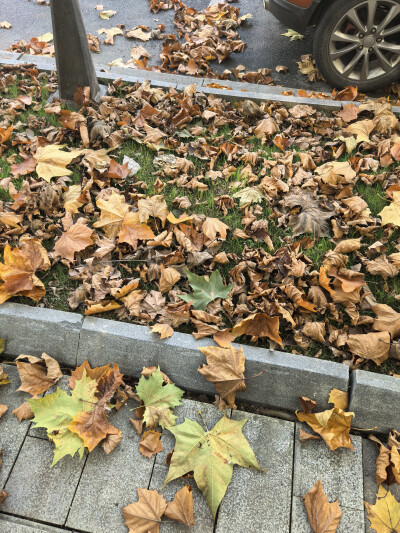 准备调整自己啦，先从身体健康开始吧！坚持早睡早起，坚持走路上班。打卡第一天～