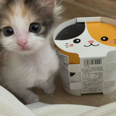 我需要懂你什么吗