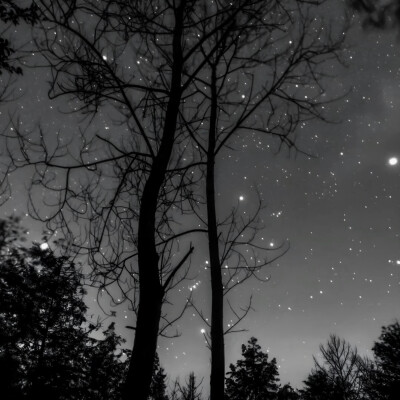 第五个季节 (The Fifth Season)