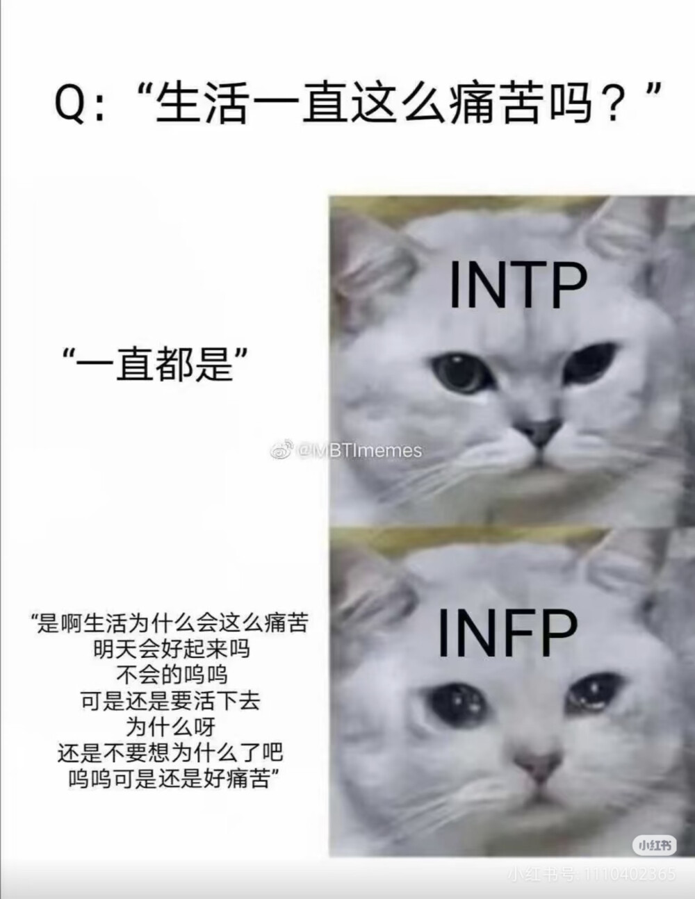 intp梗图