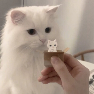 所有可以分享的瞬间我想到的都是你