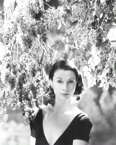 Vivien Leigh ​​​