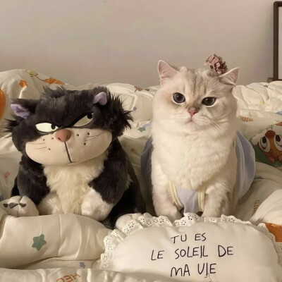 所有可以分享的瞬间我想到的都是你