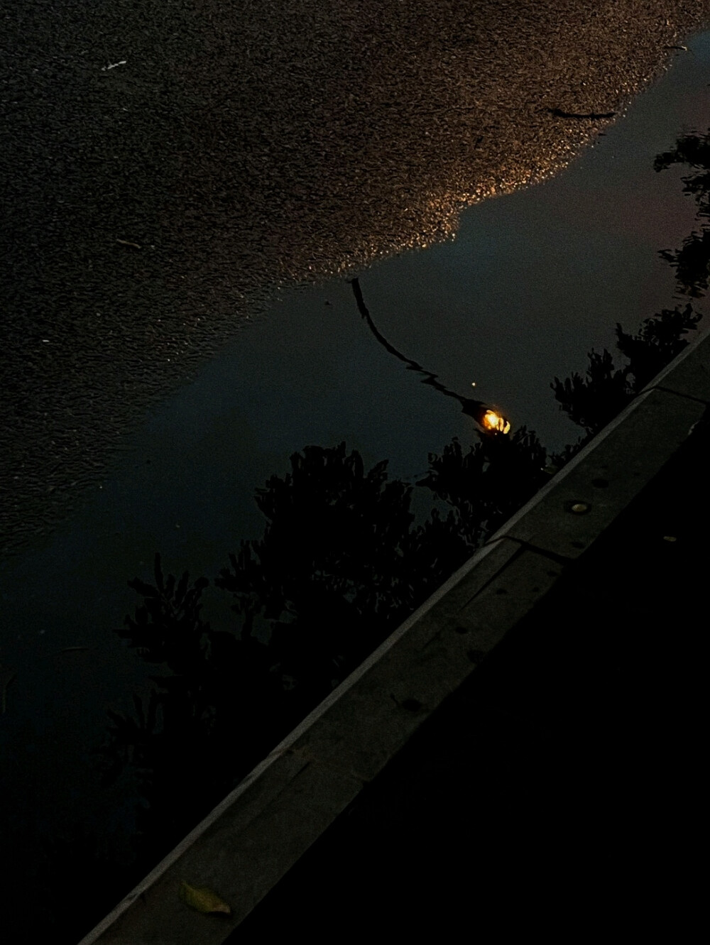 日常
你顺手挽住火焰，化作漫天大雪。