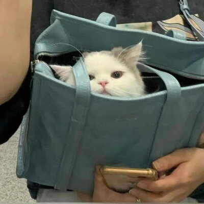 所有可以分享的瞬间我想到的都是你