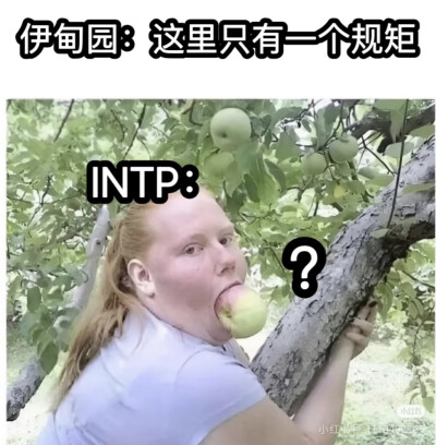 intp梗图