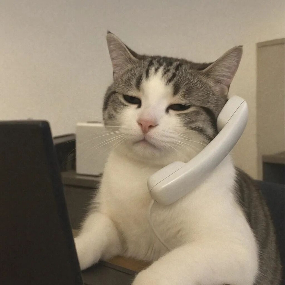 所有可以分享的瞬间我想到的都是你