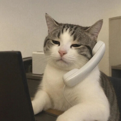 所有可以分享的瞬间我想到的都是你