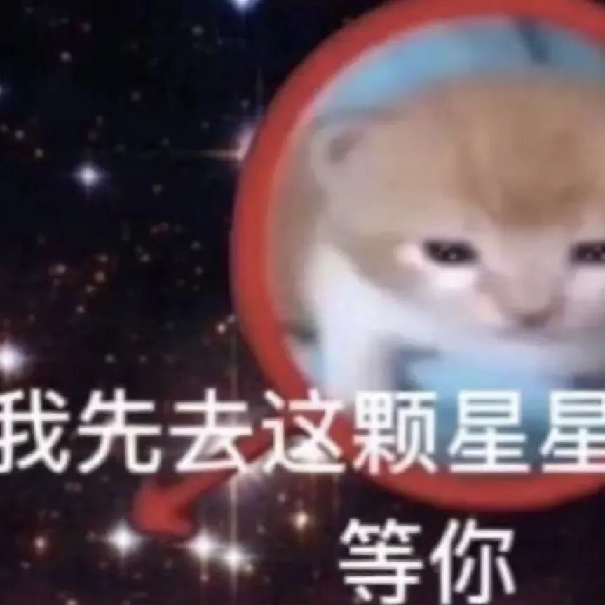 猫猫表情包