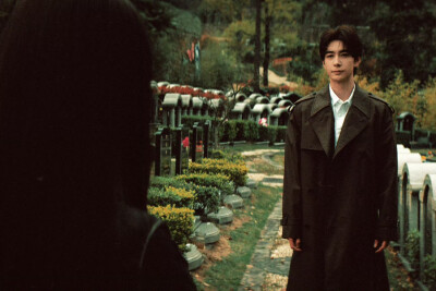 枭起青壤 ​​​