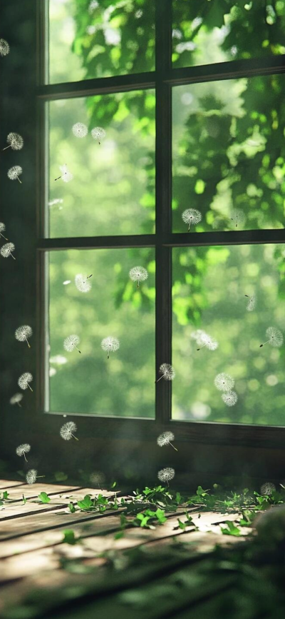窗边的蒲公英