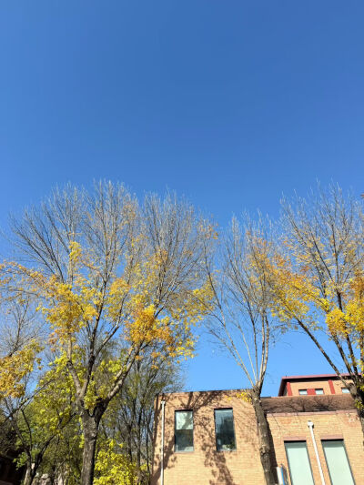 2025/11/13梦梦在北京