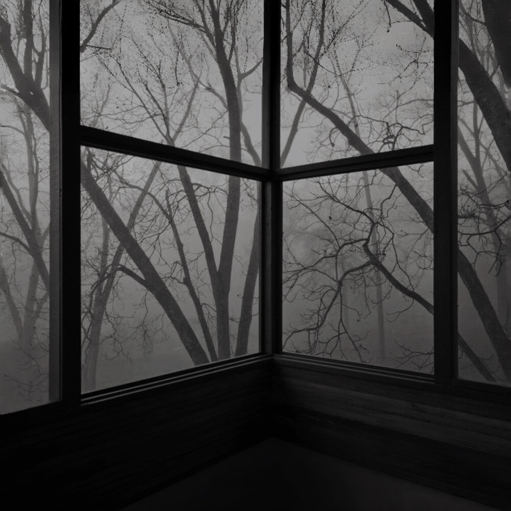 第五个季节 (The Fifth Season)