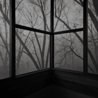 第五个季节 (The Fifth Season)