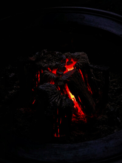 日常
你顺手挽住火焰，化作漫天大雪。