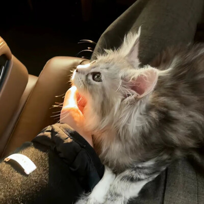 所有可以分享的瞬间我想到的都是你