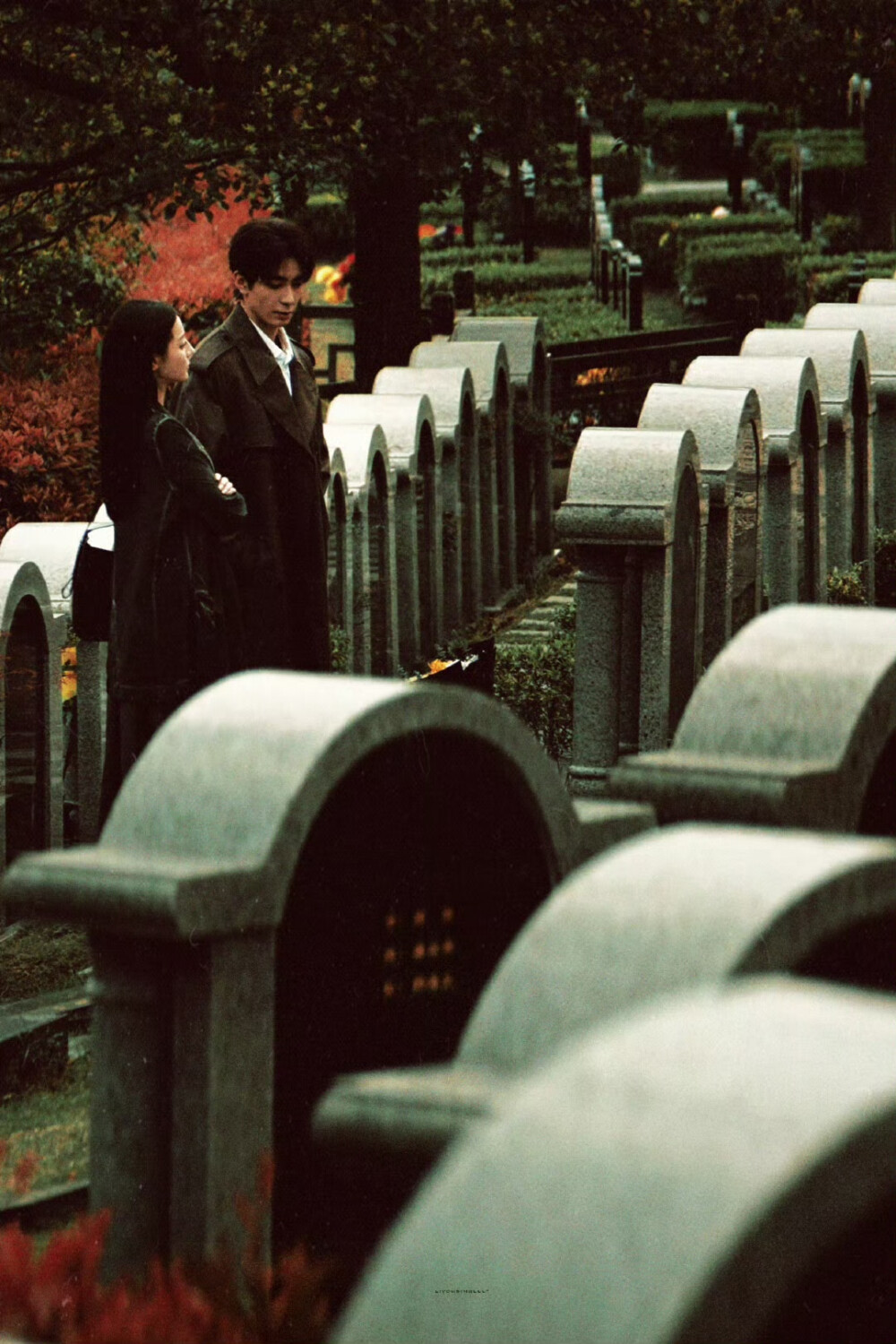 枭起青壤 ​​​