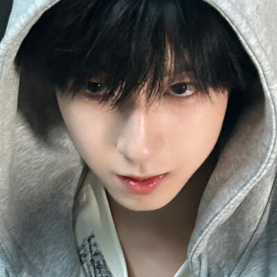 这个当头像还挺好看的