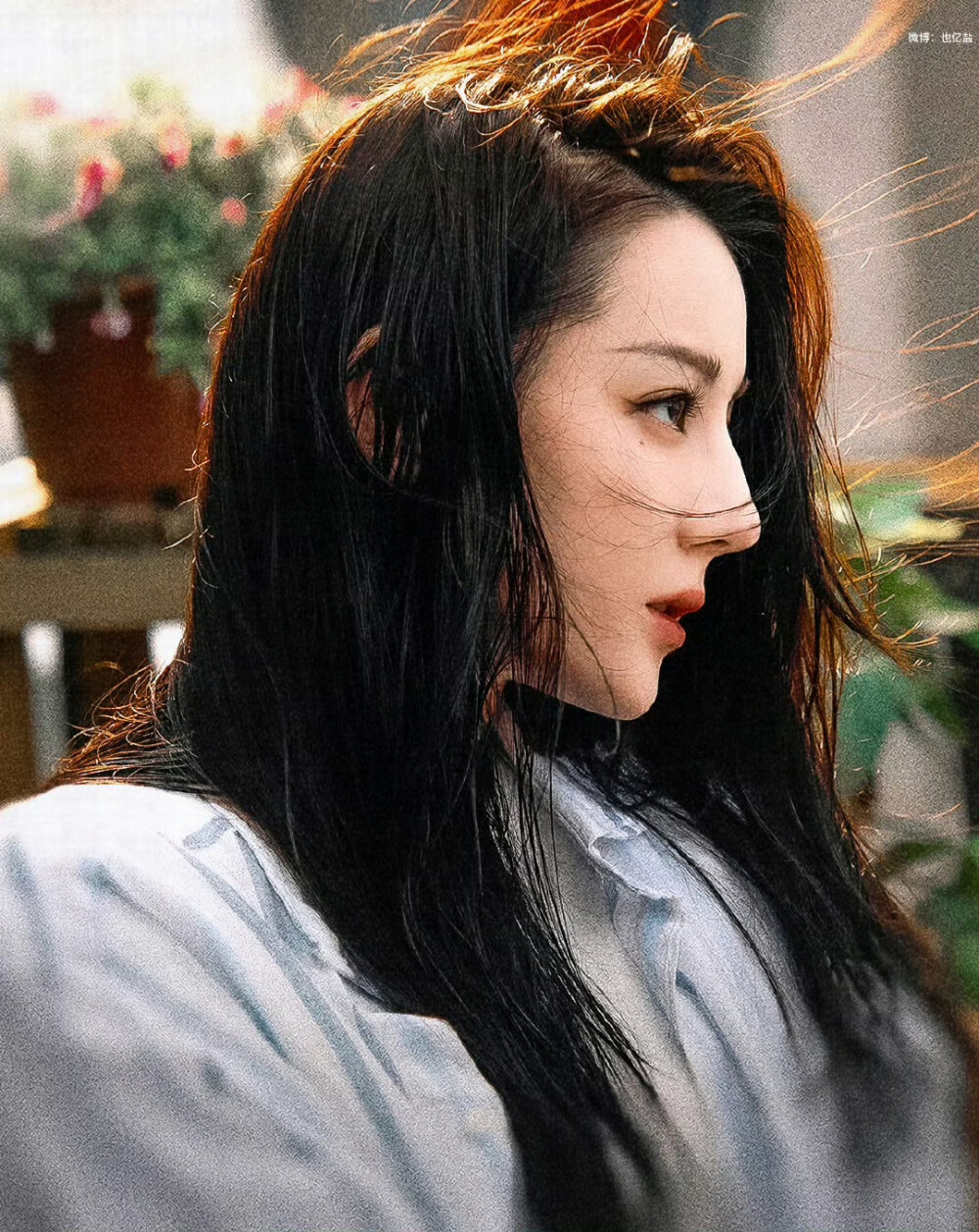 枭起青壤 ​​​ 迪丽热巴