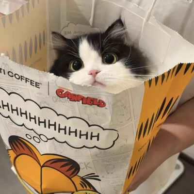 所有可以分享的瞬间我想到的都是你