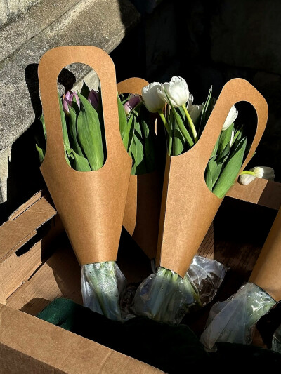 日常
我们为体验这些可怜的、美妙的、灿烂的感觉而活。