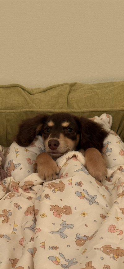 ‎#ليس قوة خارقة