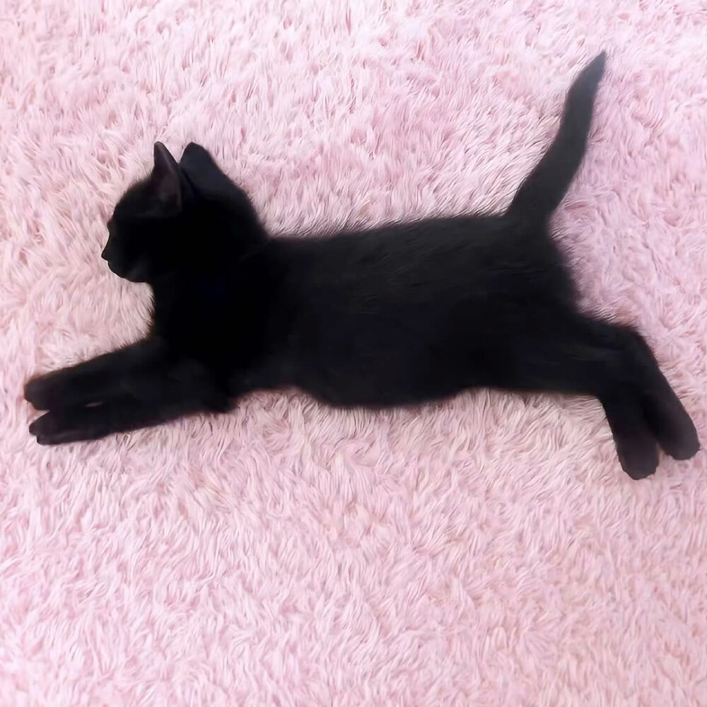 图源ks：偷喝汽水