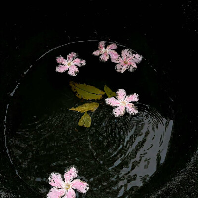 图源ks：偷喝汽水