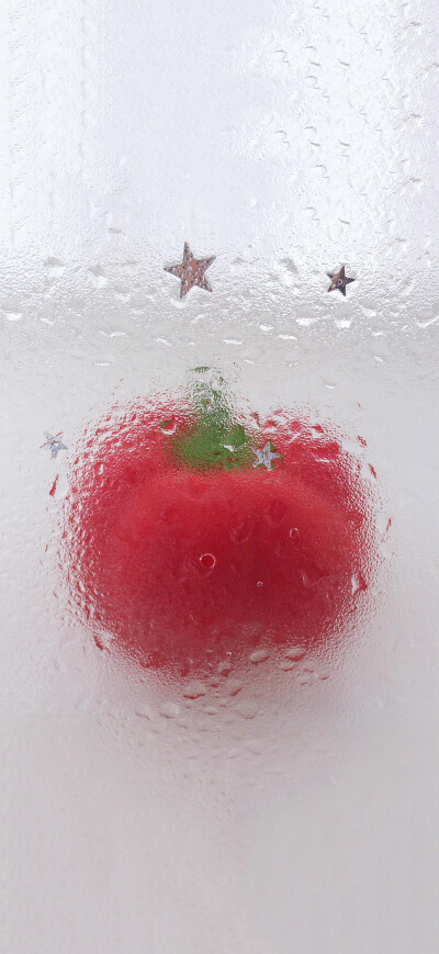 手机壁纸 平铺壁纸