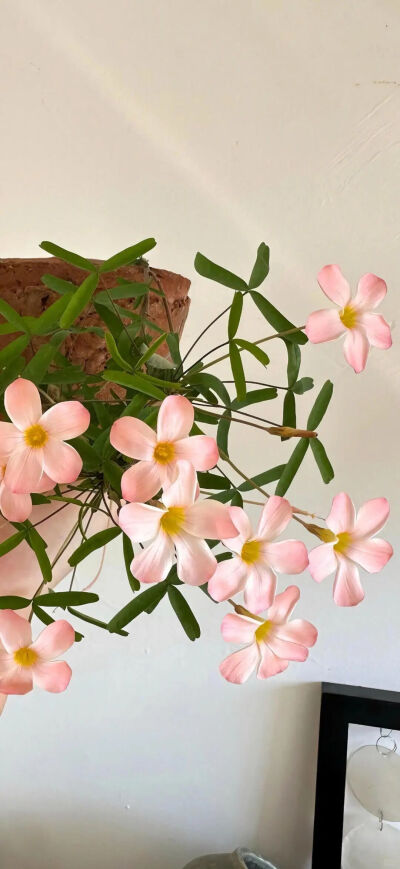 ‎#ليس قوة خارقة