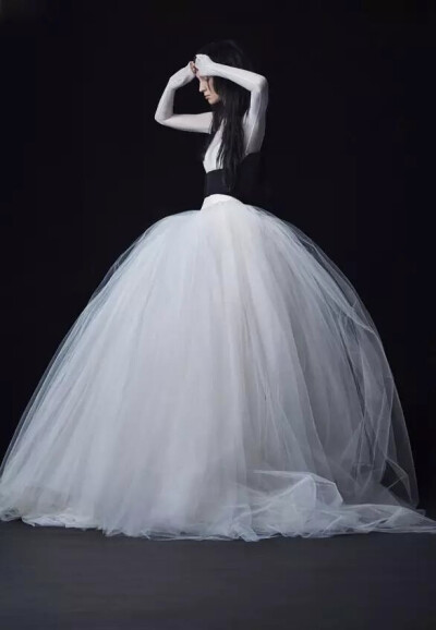 Vera Wang 婚纱2016秋季系列