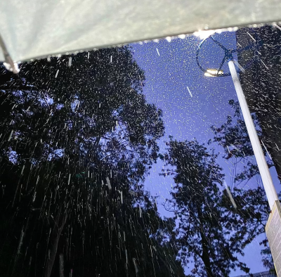 什么都是短暂的 只有怀念和失去才是最漫长的