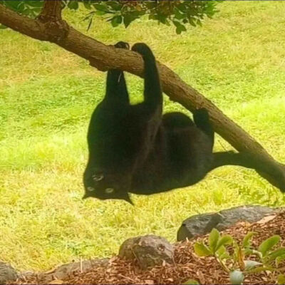 ‎#ليس قوة خارقة