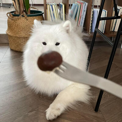 可爱头像·图源微博