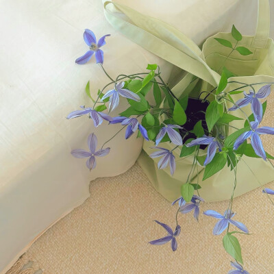 日常
我们为体验这些可怜的、美妙的、灿烂的感觉而活。