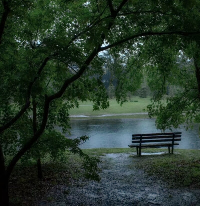 消失的下雨天，我好想再淋一遍
