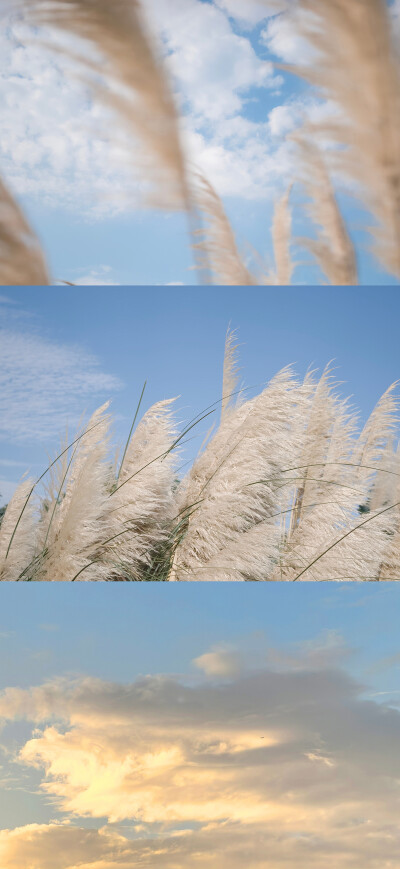 手机壁纸 平铺壁纸