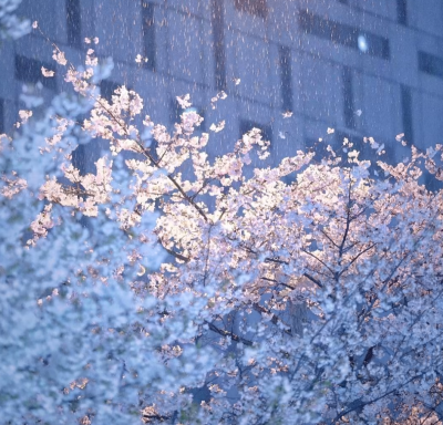 什么都是短暂的 只有怀念和失去才是最漫长的